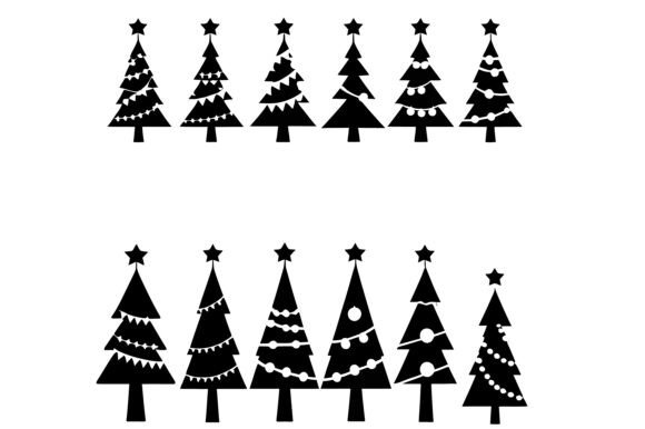 Christmas Trees for Festive Season