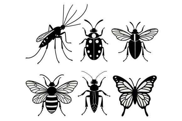 Various Insect Silhouettes for Design: A Versatile Tool for Modern Creatives
