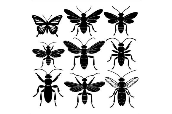 Vector Art of Collection of Insect: A Versatile Design Resource