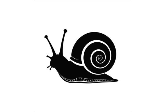Vector Art of Snail Illustration